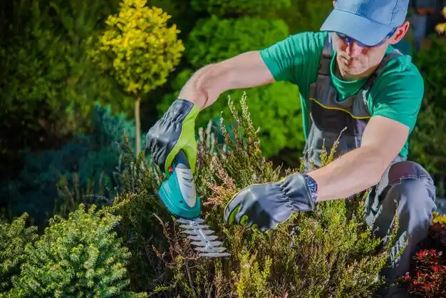 landscaping services Canfield